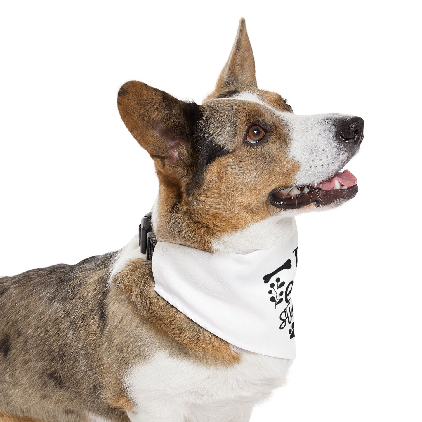 Pet Bandana Collar “I Eat Stuff” | Funny Dog Accessory & Cute Puppy Gift